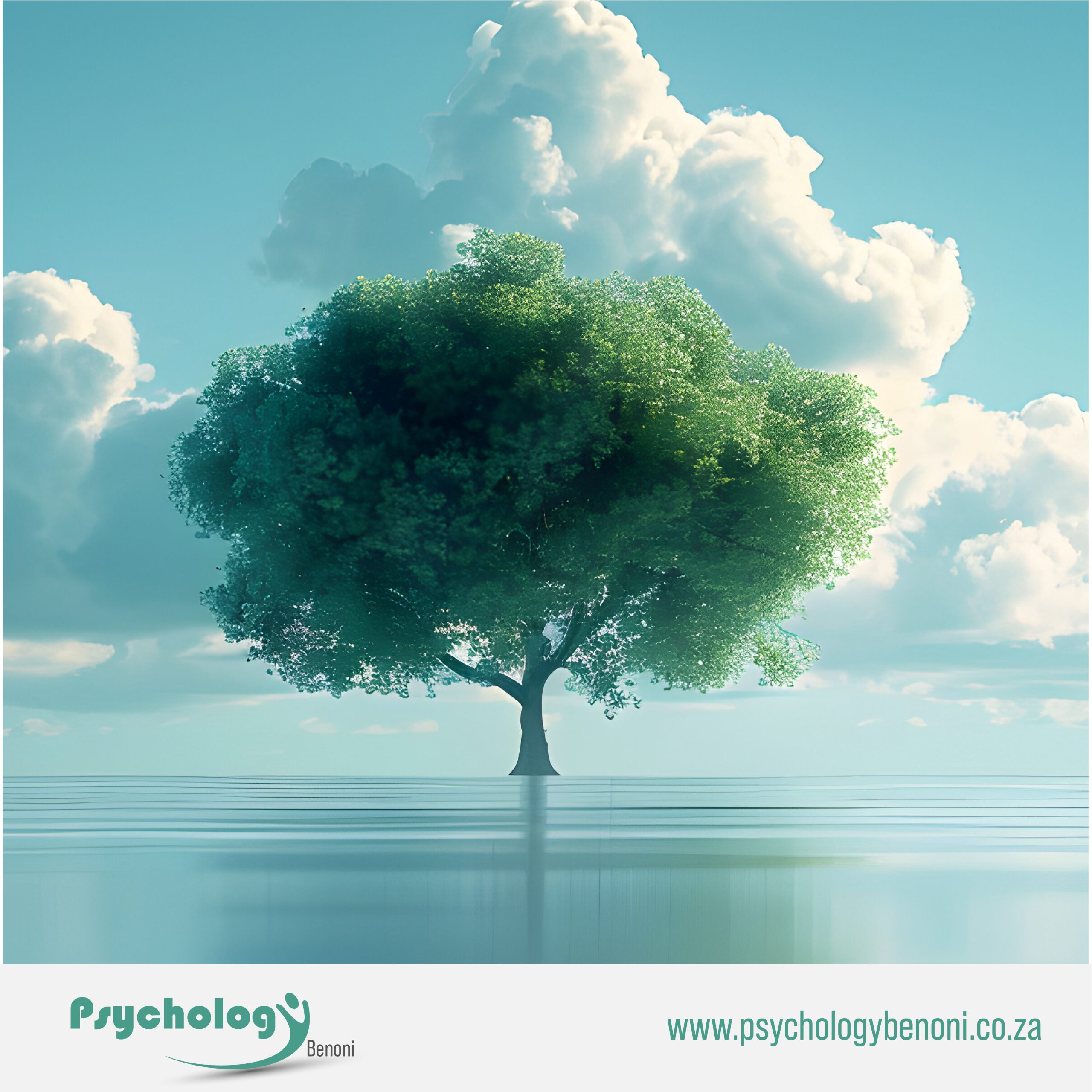 Majestic tree solitary in a calm landscape representing the availability of clinical psychology services in Benoni