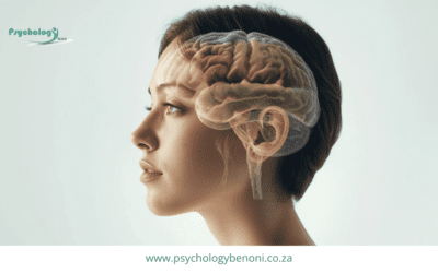 How Chronic Stress Affects the Nervous System Over Time