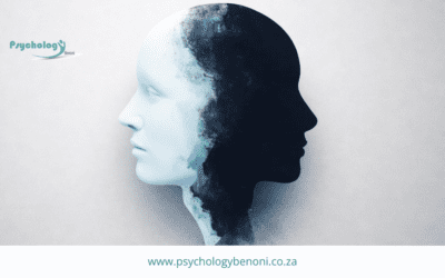 Bipolar Disorder: How It Affects Mood and Behaviour